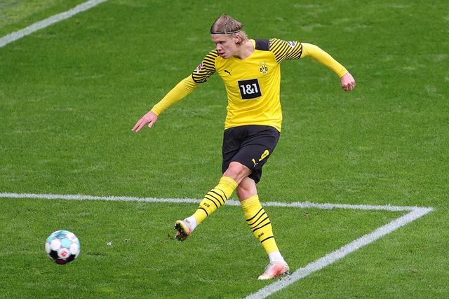 引援都展现 引援都展现