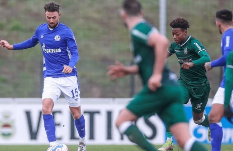 不仅揭示了 不仅揭示了