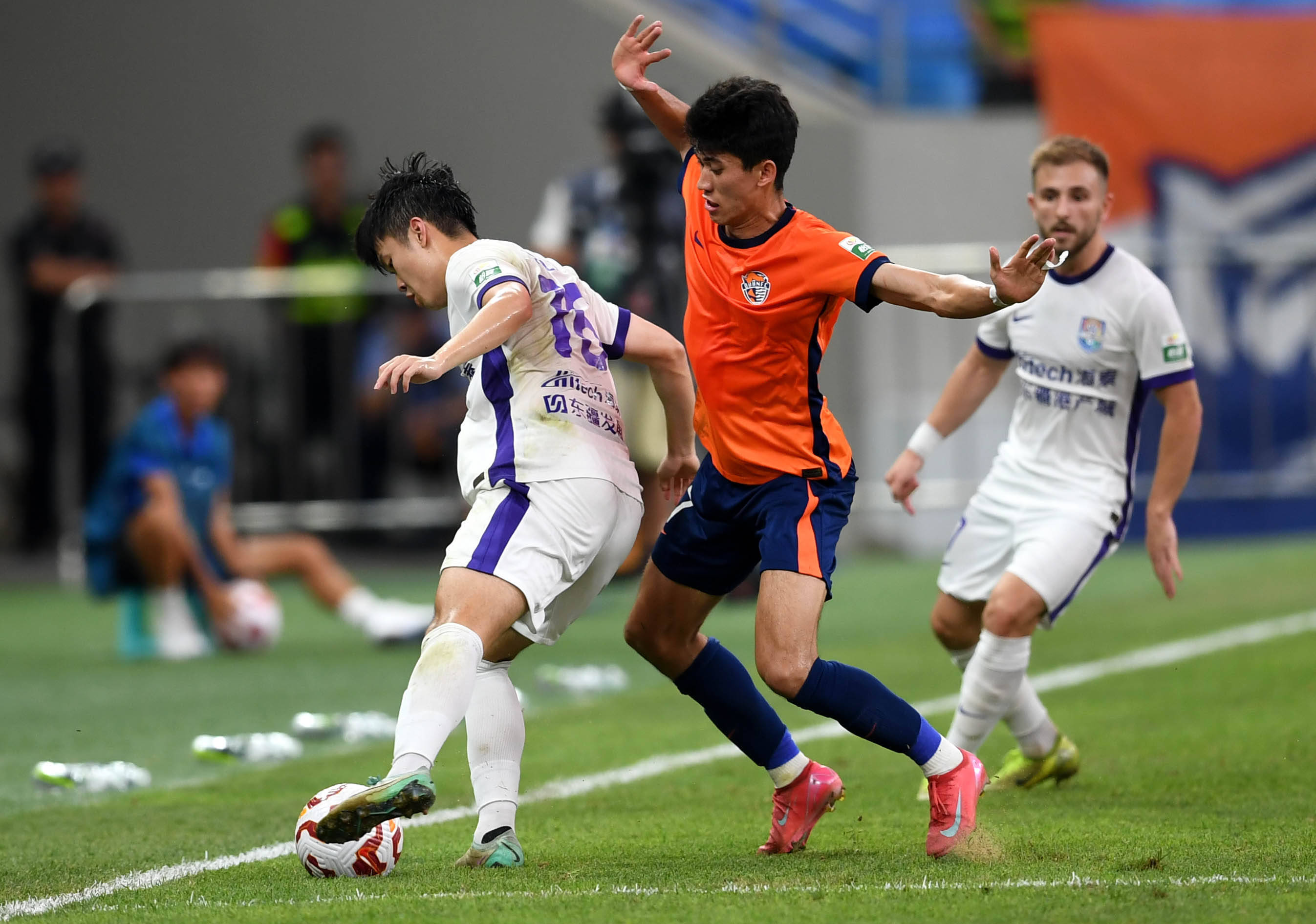 种理解多元 种理解多元